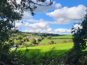 view from pooh cottage