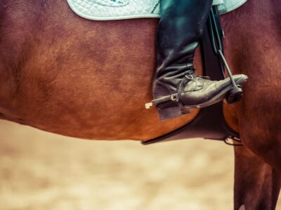 Horse Riding at Budleigh Salterton Thumbnail
